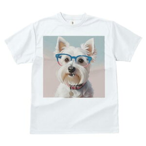 EGXgnChzCgeA TVc  j[NfUCfB[X t@  t vg lJWA 킢 lԗp Mtg I ҏ΍ Kl EGXgnC