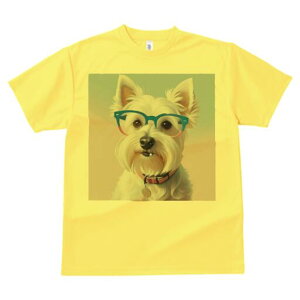 EGXgnChzCgeA TVc  j[NfUCfB[X t@  t vg lJWA 킢 lԗp Mtg I ҏ΍ Kl EGXgnC