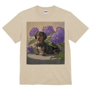 _bNXth TVc  j[NfUCfB[X t@  t vg lJWA 킢 lԗp Mtg I ҏ΍ AWTC _bNXth 