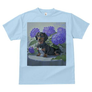 _bNXth TVc  j[NfUCfB[X t@  t vg lJWA 킢 lԗp Mtg I ҏ΍ AWTC _bNXth 