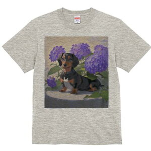 _bNXth TVc  j[NfUCfB[X t@  t vg lJWA 킢 lԗp Mtg I ҏ΍ AWTC _bNXth 