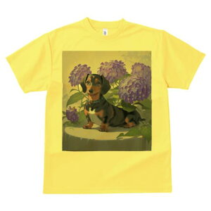 _bNXth TVc  j[NfUCY LbY t@  t vg lJWA 킢 lԗp Mtg I ҏ΍ AWTC _bNXth 