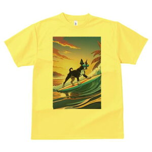 {XgeA TVc  j[NfUCY LbY t@  t vg lJWA 킢 lԗp Mtg I ҏ΍ T[tB {XgeA C g z