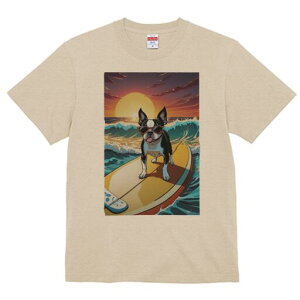 {XgeA TVc  j[NfUCY LbY t@  t vg lJWA 킢 lԗp Mtg I ҏ΍ T[tB {XgeA C [ g