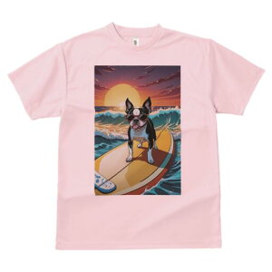 {XgeA TVc  j[NfUCfB[X t@  t vg lJWA 킢 lԗp Mtg I ҏ΍ T[tB {XgeA C [ g