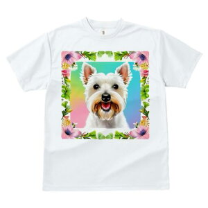 EGXgnChzCgeA TVc  j[NfUCfB[X t@  t vg lJWA 킢 lԗp Mtg I ҏ΍  EGXgnCh