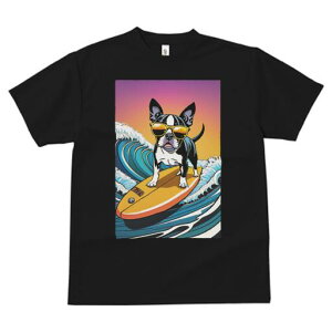 {XgeA TVc  j[NfUCY LbY t@  t vg lJWA 킢 lԗp Mtg I ҏ΍ g {XgeA T[tB TO