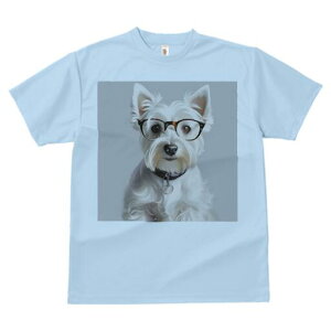 EGXgnChzCgeA TVc  j[NfUCfB[X t@  t vg lJWA 킢 lԗp Mtg I ҏ΍ Kl EGXgnC