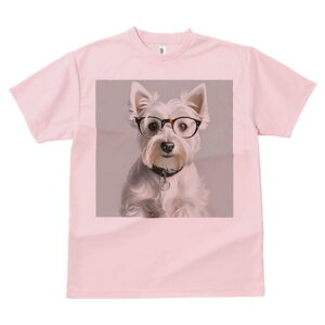 EGXgnChzCgeA TVc  j[NfUCfB[X t@  t vg lJWA 킢 lԗp Mtg I ҏ΍ Kl EGXgnC