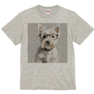 EGXgnChzCgeA TVc  j[NfUCfB[X t@  t vg lJWA 킢 lԗp Mtg I ҏ΍ Kl EGXgnC