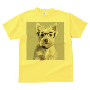 EGXgnChzCgeA TVc  j[NfUCY LbY t@  t vg lJWA 킢 lԗp Mtg I ҏ΍ Kl EGXgn