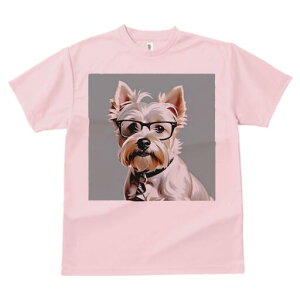 EGXgnChzCgeA TVc  j[NfUCfB[X t@  t vg lJWA 킢 lԗp Mtg I ҏ΍ Kl EGXgnC