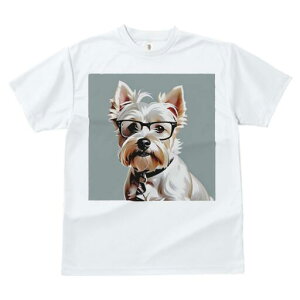 EGXgnChzCgeA TVc  j[NfUCfB[X t@  t vg lJWA 킢 lԗp Mtg I ҏ΍ Kl EGXgnC