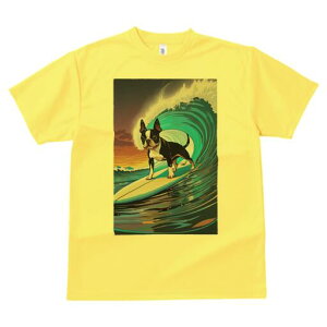 {XgeA TVc  j[NfUCfB[X t@  t vg lJWA 킢 lԗp Mtg I ҏ΍ g {XgeA T[tB C [Ă