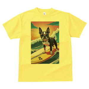 {XgeA TVc  j[NfUCfB[X t@  t vg lJWA 킢 lԗp Mtg I ҏ΍ TOX {XgeA T[tB g 