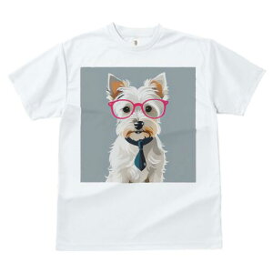 EGXgnChzCgeA TVc  j[NfUCfB[X t@  t vg lJWA 킢 lԗp Mtg I ҏ΍ Kl EGXgnC