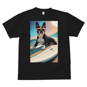 {XgeA TVc  j[NfUCfB[X t@  t vg lJWA 킢 lԗp Mtg I ҏ΍ TOX {XgeA T[t{[h 