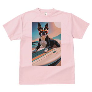 {XgeA TVc  j[NfUCfB[X t@  t vg lJWA 킢 lԗp Mtg I ҏ΍ TOX {XgeA T[t{[h 