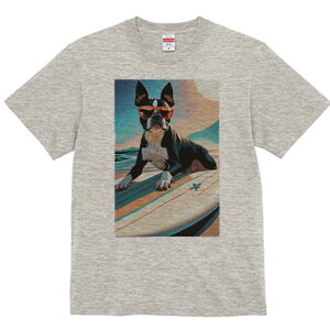 {XgeA TVc  j[NfUCfB[X t@  t vg lJWA 킢 lԗp Mtg I ҏ΍ TOX {XgeA T[t{[h 