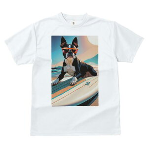 {XgeA TVc  j[NfUCfB[X t@  t vg lJWA 킢 lԗp Mtg I ҏ΍ TOX {XgeA T[t{[h 