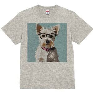 EGXgnChzCgeA TVc  j[NfUCfB[X t@  t vg lJWA 킢 lԗp Mtg I ҏ΍ Kl EGXgnC