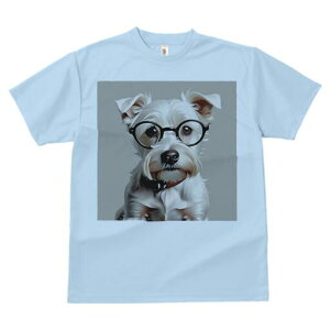 ~j`AViEU[ TVc  j[NfUCfB[X t@  t vg lJWA 킢 lԗp Mtg I ҏ΍ Kl ~j`AViEU[