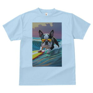 {XgeA TVc  j[NfUCY LbY t@  t vg lJWA 킢 lԗp Mtg I ҏ΍ T[tB {XgeA g C T