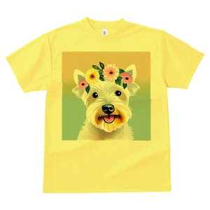 EGXgnChzCgeA TVc  j[NfUCY LbY t@  t vg lJWA 킢 lԗp Mtg I ҏ΍  EGXgnC