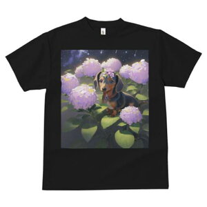 _bNXth TVc  j[NfUCY LbY t@  t vg lJWA 킢 lԗp Mtg I ҏ΍ AWTC _bNXth  