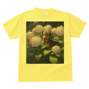 _bNXth TVc  j[NfUCY LbY t@  t vg lJWA 킢 lԗp Mtg I ҏ΍ AWTC _bNXth  