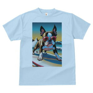 {XgeA TVc  j[NfUCfB[X t@  t vg lJWA 킢 lԗp Mtg I ҏ΍ T[tB {XgeA C TOX 