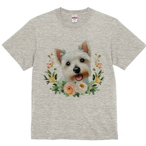 EGXgnChzCgeA TVc  j[NfUCfB[X t@  t vg lJWA 킢 lԗp Mtg I ҏ΍  EGXgnCh