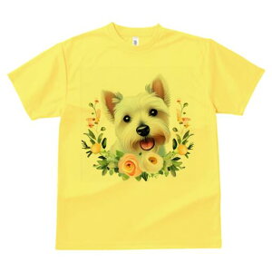 EGXgnChzCgeA TVc  j[NfUCY LbY t@  t vg lJWA 킢 lԗp Mtg I ҏ΍  EGXgnC