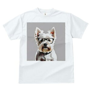 EGXgnChzCgeA TVc  j[NfUCY LbY t@  t vg lJWA 킢 lԗp Mtg I ҏ΍ Kl EGXgn