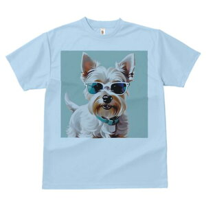 EGXgnChzCgeA TVc  j[NfUCfB[X t@  t vg lJWA 킢 lԗp Mtg I ҏ΍ TOX EGXgn