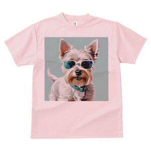 EGXgnChzCgeA TVc  j[NfUCY LbY t@  t vg lJWA 킢 lԗp Mtg I ҏ΍ TOX EGX