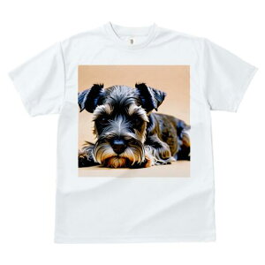 ~j`AViEU[ TVc  j[NfUCfB[X t@  t vg lJWA 킢 lԗp Mtg I ҏ΍ ~j`AViEU[