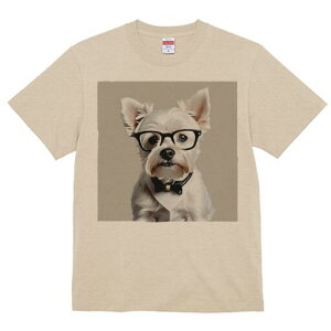 EGXgnChzCgeA TVc  j[NfUCY LbY t@  t vg lJWA 킢 lԗp Mtg I ҏ΍ Kl EGXgn