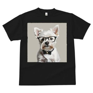 EGXgnChzCgeA TVc  j[NfUCfB[X t@  t vg lJWA 킢 lԗp Mtg I ҏ΍ Kl EGXgnC