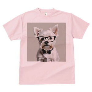 EGXgnChzCgeA TVc  j[NfUCY LbY t@  t vg lJWA 킢 lԗp Mtg I ҏ΍ Kl EGXgn