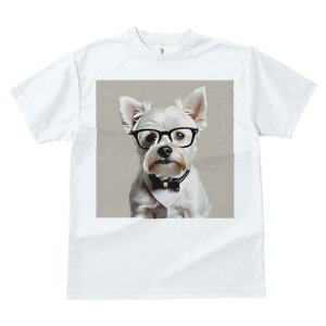 EGXgnChzCgeA TVc  j[NfUCY LbY t@  t vg lJWA 킢 lԗp Mtg I ҏ΍ Kl EGXgn