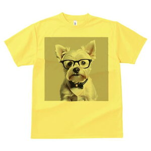 EGXgnChzCgeA TVc  j[NfUCY LbY t@  t vg lJWA 킢 lԗp Mtg I ҏ΍ Kl EGXgn