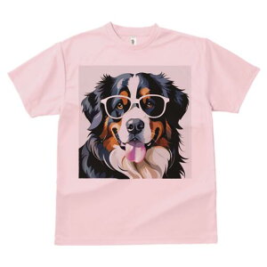 o[j[Y}EehbO TVc  j[NfUCfB[X t@  t vg lJWA 킢 lԗp Mtg I ҏ΍ Kl o[j[Y}Ee