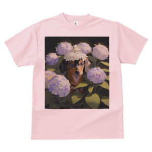 _bNXth TVc  j[NfUCfB[X t@  t vg lJWA 킢 lԗp Mtg I ҏ΍  _bNXth AWTC Ԋ