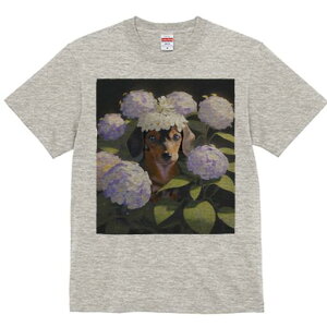 _bNXth TVc  j[NfUCY LbY t@  t vg lJWA 킢 lԗp Mtg I ҏ΍  _bNXth AWTC Ԋ