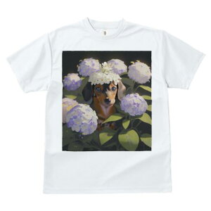 _bNXth TVc  j[NfUCfB[X t@  t vg lJWA 킢 lԗp Mtg I ҏ΍  _bNXth AWTC Ԋ