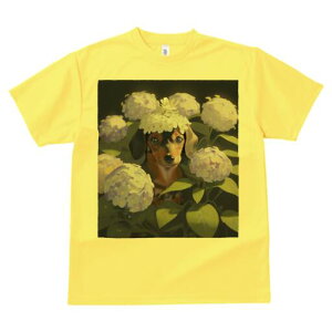 _bNXth TVc  j[NfUCfB[X t@  t vg lJWA 킢 lԗp Mtg I ҏ΍  _bNXth AWTC Ԋ