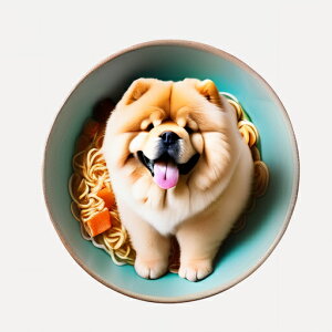  `E`E [ ǂԂ NbVJo[ 45×45cm Aj}   NbV{̕t `