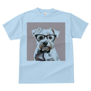 ~j`AViEU[ TVc  j[NfUCfB[X t@  t vg lJWA 킢 lԗp Mtg I ҏ΍ Kl ~j`AViEU[ 