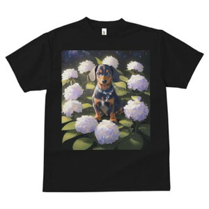 _bNXtg TVc  j[NfUCfB[X t@  t vg lJWA 킢 lԗp Mtg I ҏ΍ AWTC _bNXtg  lbNX 